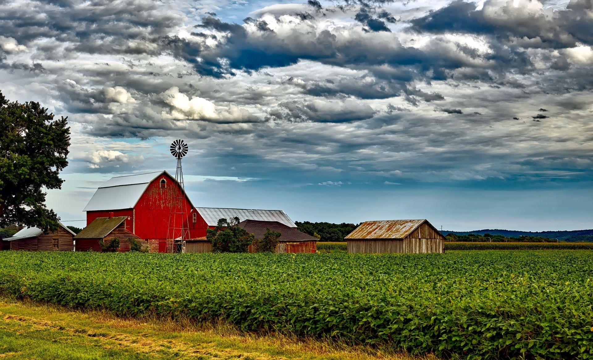 Reformed Homesteaders